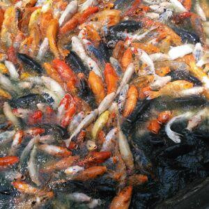 风云人物