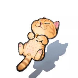 喜东东