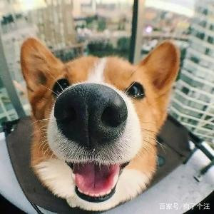 土黑不是墨