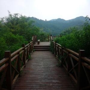 小说迷