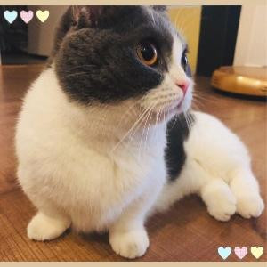 陳玖