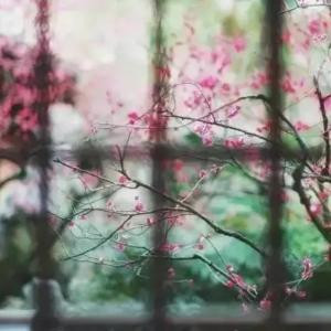 终有弱水替沧海