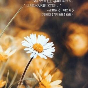 凤隐天下