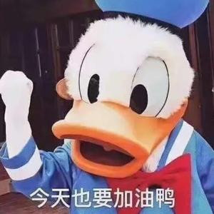 腹有诗书有前途