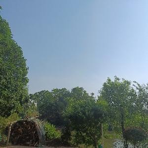 用户轩19