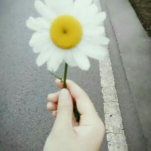 小碎裙