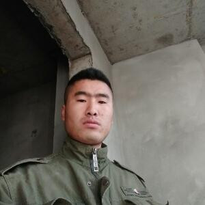 书虫