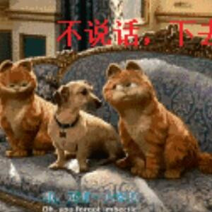 不一样