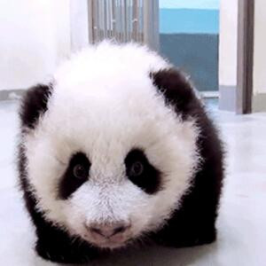 满满都是套路