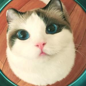 瓶子