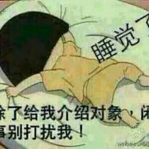 职业联队