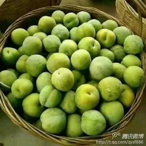 心心