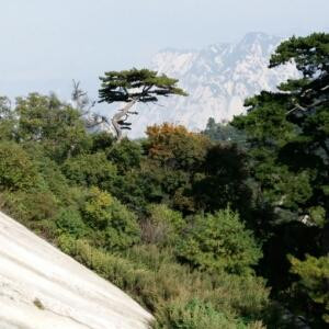 xujian