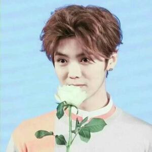 LuHanLOVE