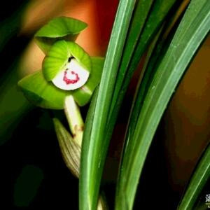 蓝天