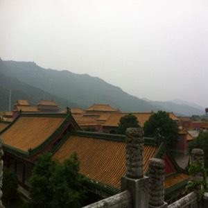 静时看会儿书