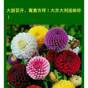 秋风萧瑟
