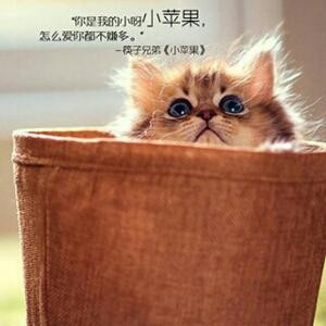 小猪猪