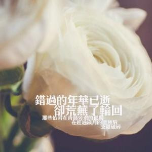 清夜琴韵