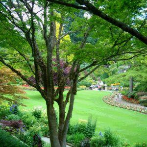 两耳不闻窗外事