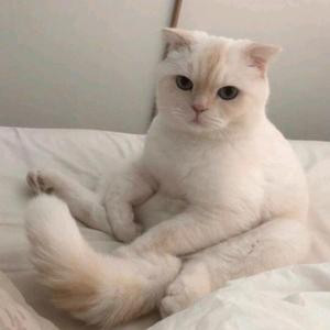 止水