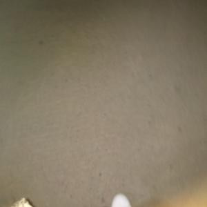 孤独的心