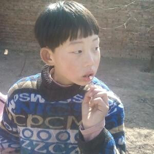 书虫