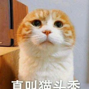 花十玖