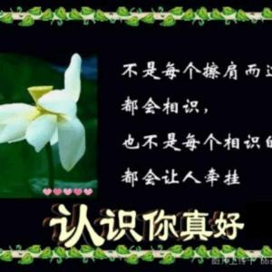 宝宝