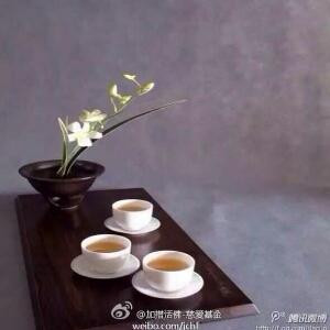 茶韵悠香