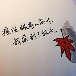 蒲公英的种子