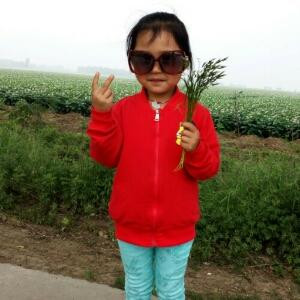 小萌妞