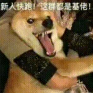 噬魂白眼