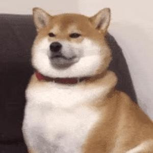 YY