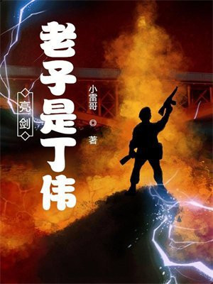亮剑:老子是丁伟