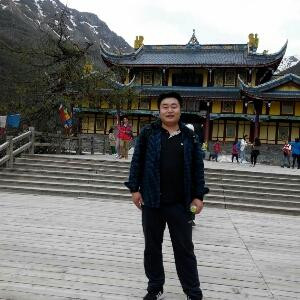绿鸭子书虫