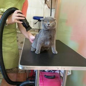 13勾43圈仨K带俩尖