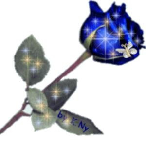 半片叶孑