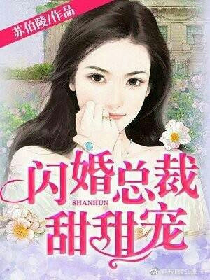 闪婚总裁甜甜宠