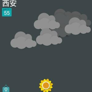 开心果