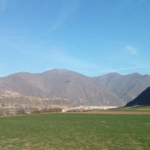 情深缘浅
