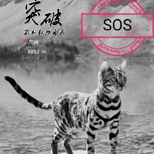 妓不如人
