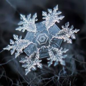 想不平凡的凡人