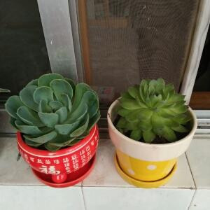 彩云之南