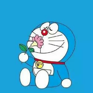 哆娜A梦