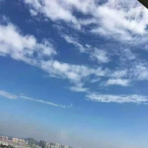 酒野州