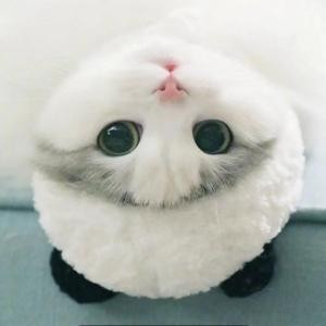 重生遇见你
