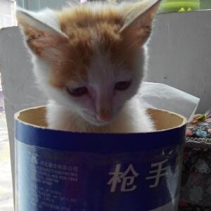 浅笑