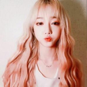 晨风婧