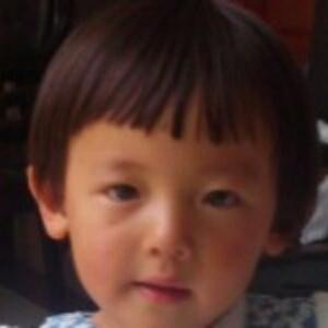 阿力龙